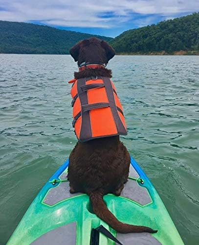 Perception Hi Life 11 | Sit on Top Kayak for Adults | Hybrid SUP Stand up Paddle Board Kayak | 11'