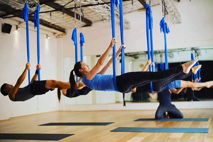 F.Life Aerial Silk Yoga Hammock & Swing for yoga Inversion,Strength training,starter hardware kit