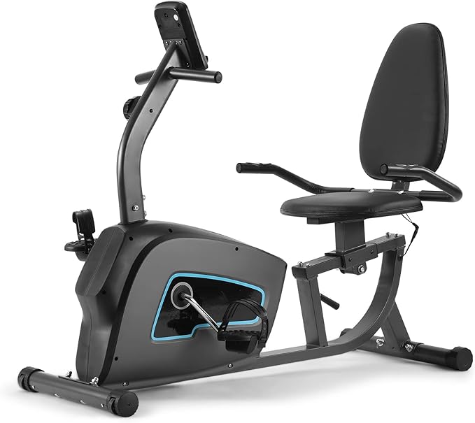 Exercise Bike Recumbent Exercise Bike for Home Stationary Bike Sturdy Quiet 8 Levels Large Comfortable Seat Heart Rate Handle & Device Holder 300 LB Weight Capacity