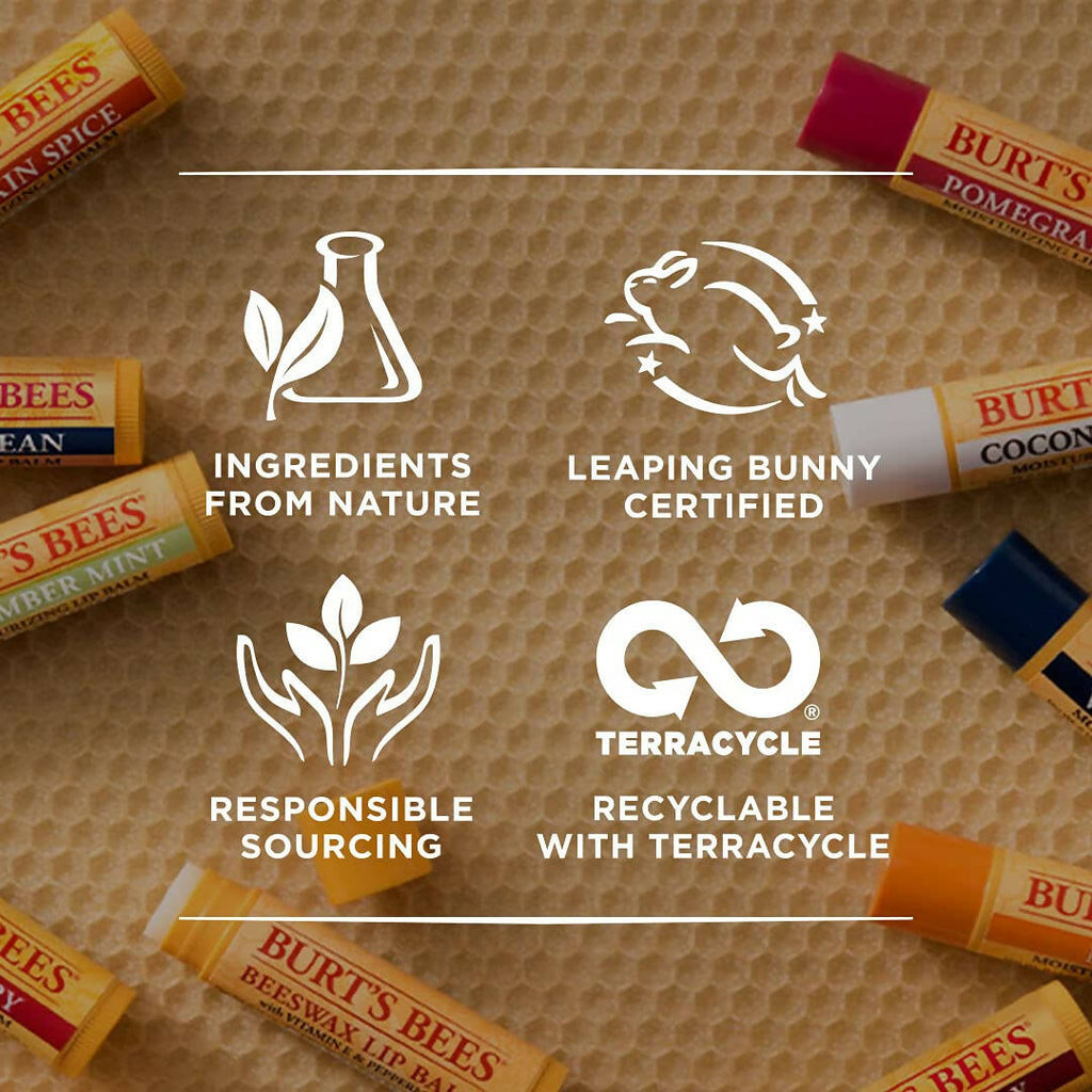 Burt's Bees Beeswax Lip Balm With Vitamin E & Peppermint