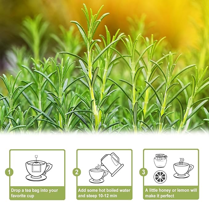 TEARELAE - Rosemary Tea - 1.5g x 50 Count - 100% Pure Rosemary Leaves Tea Bag - Country of Origin Egypt - Aid Digestion & Support Respiratory Health