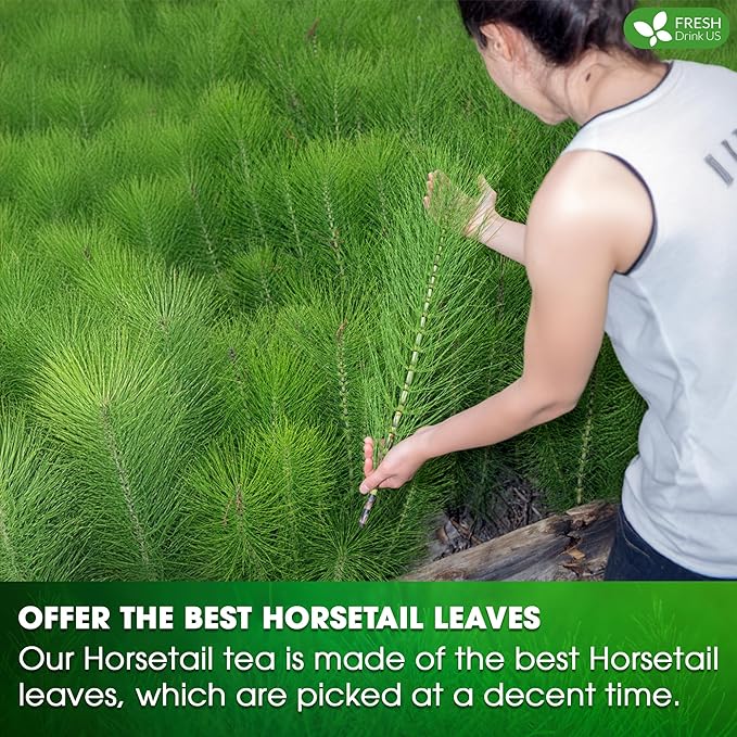 FreshDrinkUS, Premium 30 Horsetail Leaf Tea Bags, 100% Natural & Pure from Horsetail Loose Leaves Herbal Tea. Made with Natural Material Tea Bags. No Sugar, No Caffeine, No Gluten, Vegan.