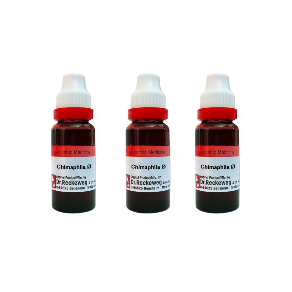 Dr. Reckeweg Chimaphila Mother Tincture Q