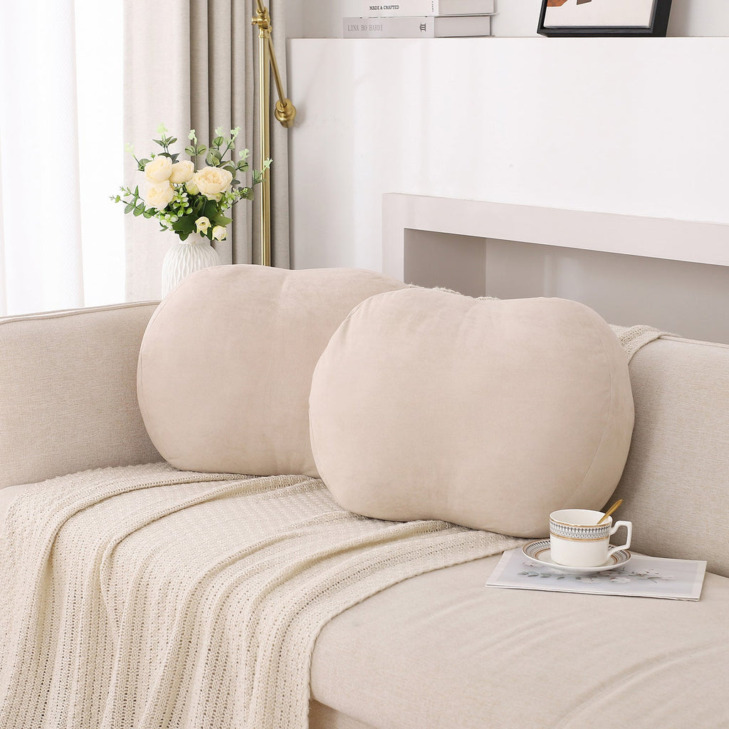 Closeout - Set of 2 Throw Pillows, 21"x16"x8", N60024