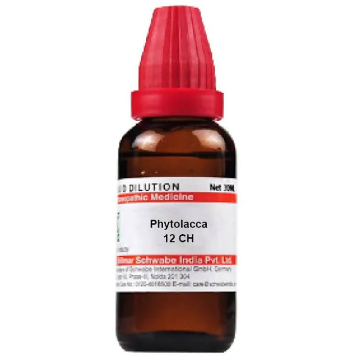 Dr. Willmar Schwabe India Phytolacca Dilution