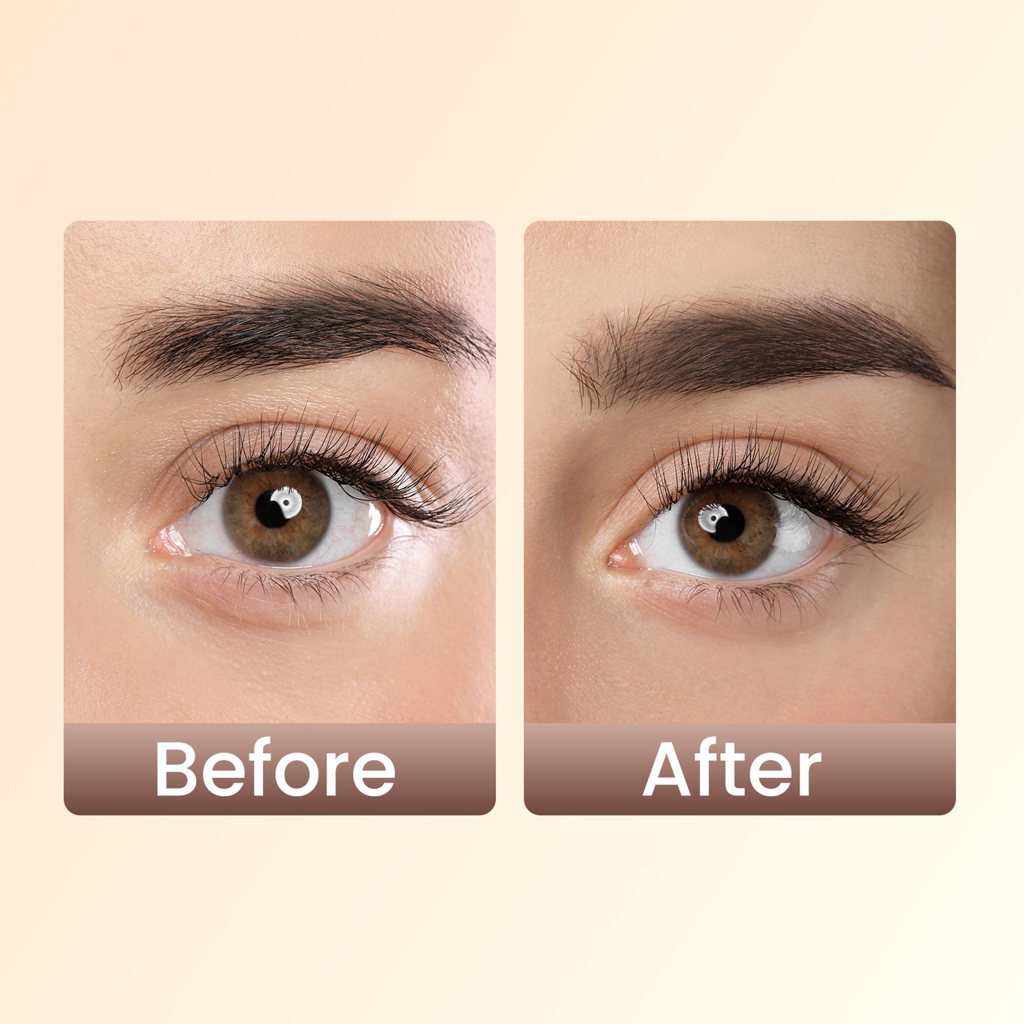 Swiss Beauty Brow Definer Pencil - 02 Coco Brown