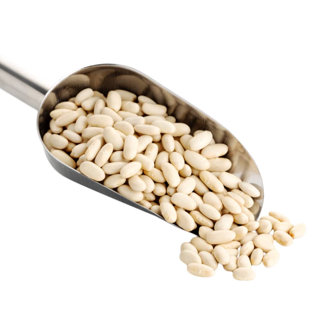 Navy Beans