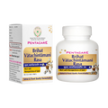 Pentacare Ayurveda Brihat Vatachintamani Rasa