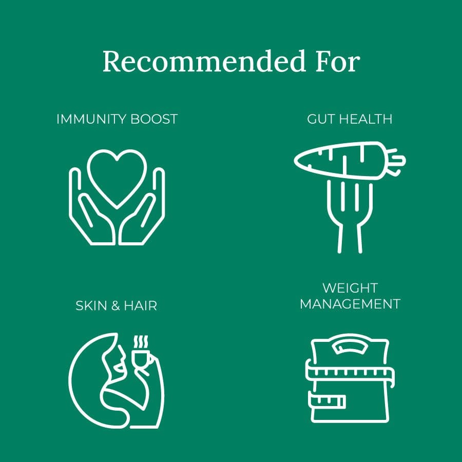 Sublime Inspiring Awe Rose in Bloom